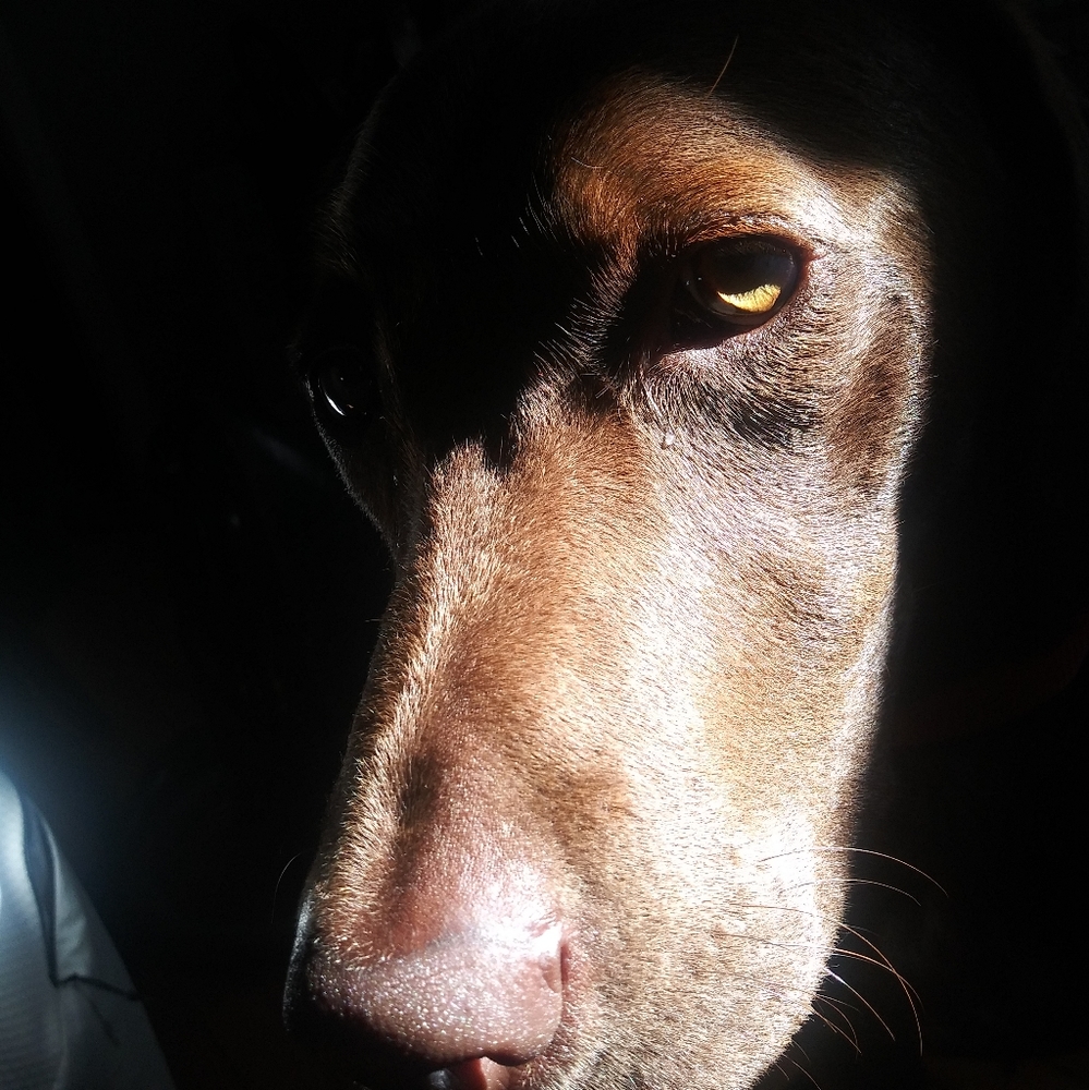 Meet your Posher, Ethan Johnward